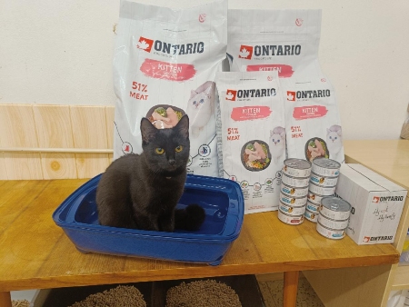 Kočka pro tebe z.s.